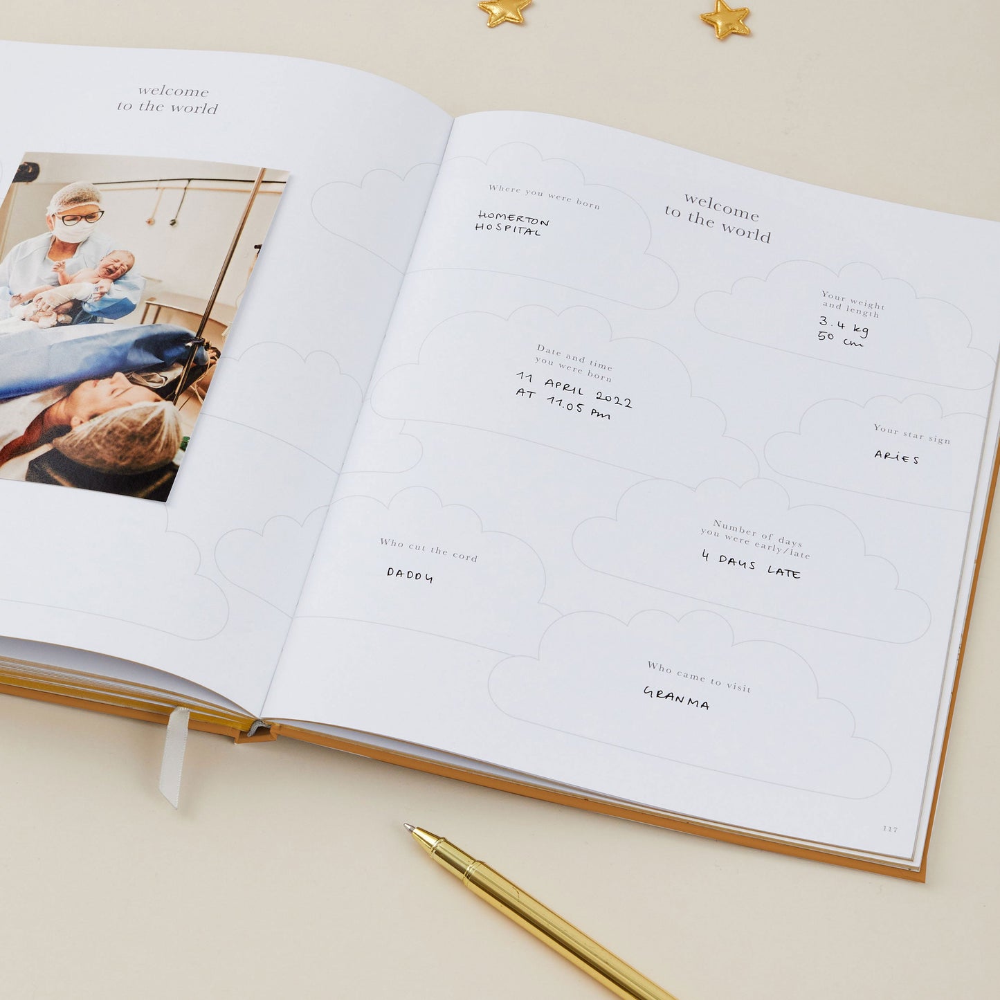 Pregnancy Gifts Ireland l Pregnancy Journal